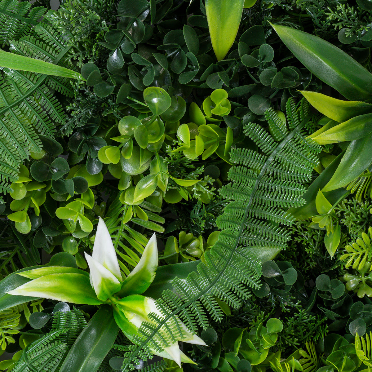 PaysaPanache Jungle Fern Oasis 100×100×20