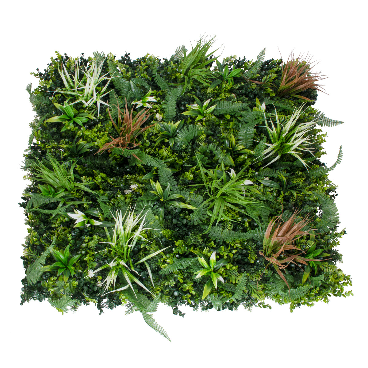 PaysaPanache Jungle Fern Oasis 100×100×20